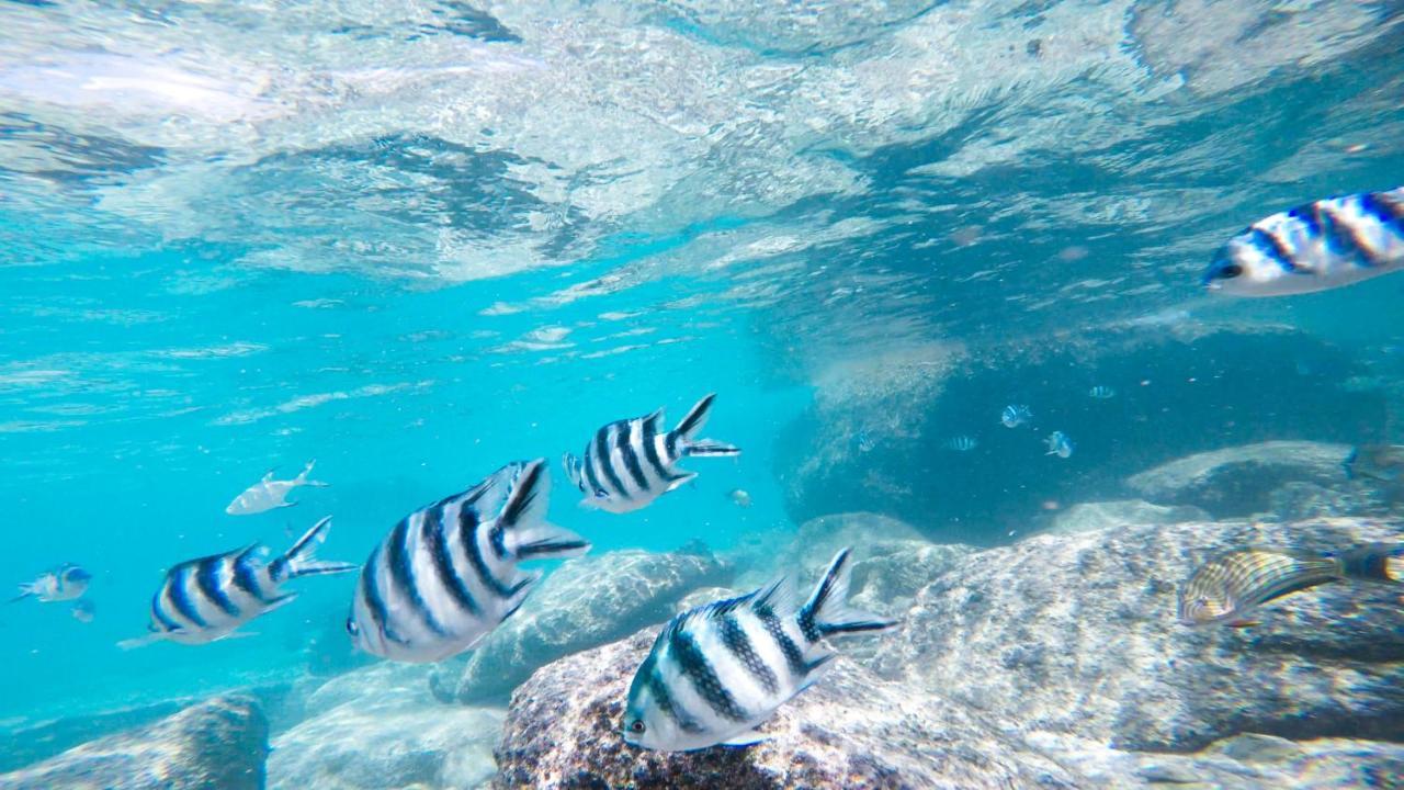 Cerf Island Resort Round Island Luaran gambar